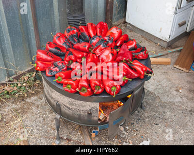 Rote Paprika braten auf einem Holzofen in der Vorbereitung für die Herstellung von Ajvar, ein traditionelles Gericht der mazedonischen. Stockfoto