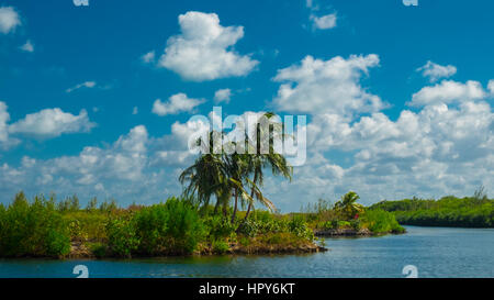 Küste in der Karibik Blick von Camana Bay, Grand Cayman, Cayman Islands Stockfoto