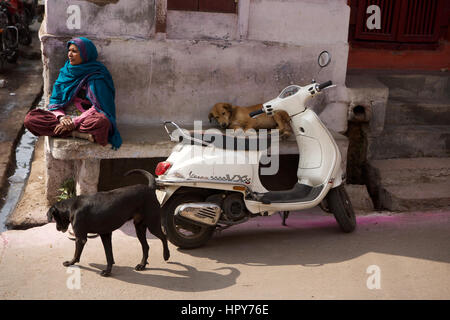 Straßenszene, Jaipur, Indien Stockfoto