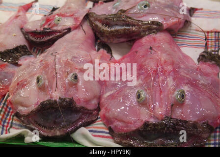 Europa, Spanien, Balearen, Mallorca, Palma, Mercat de l'Olivar bin Placa de l'Olivar, Markthalle, Fischstand, Seeteufel, Monkfisch ## Lophius Piscator Stockfoto