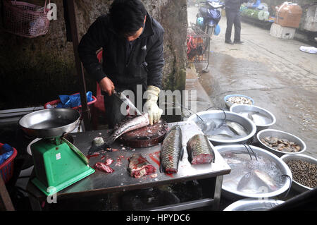 SAPA, VIETNAM - 22. Februar 2013: Unbekannter Mann ausnehmen und säubern eines Fisches im ländlichen Markt von Sapa, Nord-Vietnam Stockfoto