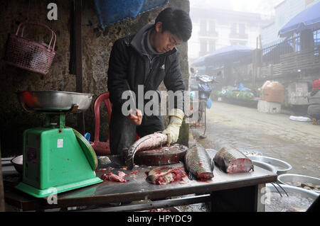 SAPA, VIETNAM - 22. Februar 2013: Unbekannter Mann ausnehmen und säubern eines Fisches im ländlichen Markt von Sapa, Nord-Vietnam Stockfoto