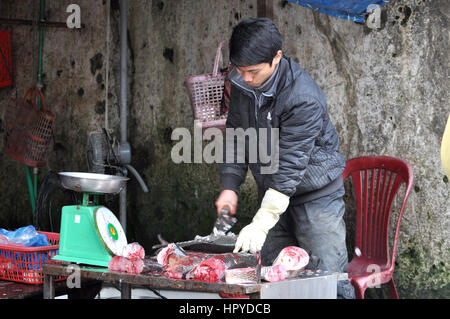 SAPA, VIETNAM - 22. Februar 2013: Unbekannter Mann ausnehmen und säubern eines Fisches im ländlichen Markt von Sapa, Nord-Vietnam Stockfoto