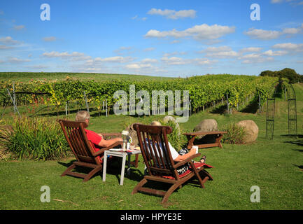 Weinanbau Weinbau Bei Ingenhof Weinberg Und Ein Garten Cafe In