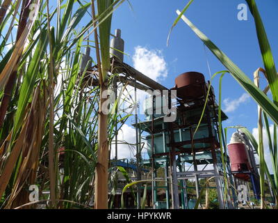 Stillgelegte Zuckerrohrfabrik bemalt bunt mit Zuckerrohrpflanzen vor, Kuba Stockfoto