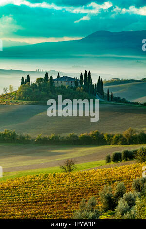 Am frühen Morgen über Weinberg und Podere Belvedere in der Nähe von San Quirico d'Orcia, Toskana, Italien Stockfoto