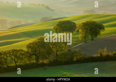 Trübe Sonnenaufgang über der Landschaft des Val d ' Orcia in der Nähe von San Quirico d ' Orcia, Toskana, Italien Stockfoto