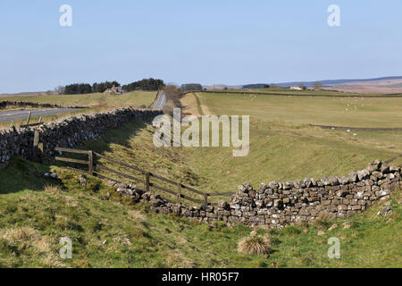 Der Hadrianswall: Blick nach Westen entlang der Wand Graben, ein wenig westlich von Kalkstein-Ecke Stockfoto