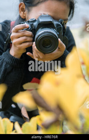 Frau mit Kamera auf Wiese. Mädchen Fotos von gelben Blüten. Stockfoto