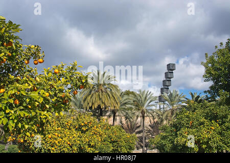 PALMA, MALLORCA, Spanien - 28. Januar 2017: Reife Orangen auf Bäume und Es Baluard Museum für Kunst am 28. Januar 2017 in Palma, Mallorca, Spanien. Stockfoto