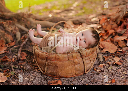 Eine Warnung, zwei Wochen alten, Neugeborenes, Baby junge in einer organischen Korb liegen. Schuss im Freien in Herbstfarben. Stockfoto