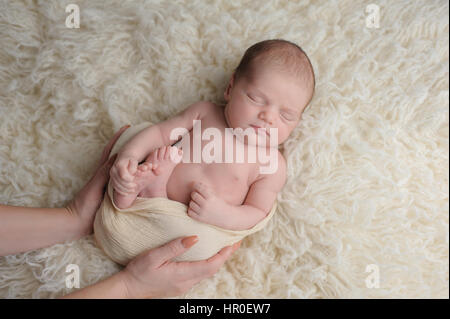 Schlafen, zwei Wochen alten, neugeborenes Baby Boy gepuckt in einer Creme farbigen wickeln. Er ist durch seine Mutter Händen getröstet werden. Gedreht im Studio auf eine flokat Stockfoto