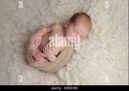 Zwei Wochen altes neugeborenes Baby junge gepuckt in Beige wickeln. Er schläft auf einem weißen Flokati-Teppich und Plüsch Bär Spielzeug halten. Stockfoto