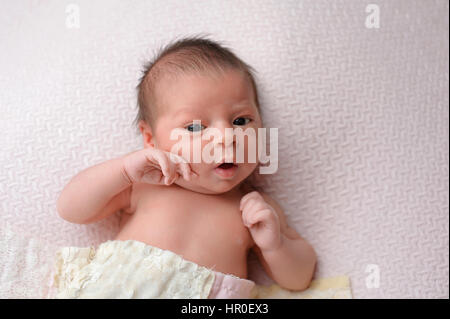 Studio-Porträt eines alert, neun Tage alten, neugeborenes Baby Mädchen. Sie liegt auf einer leichten rosa Decke. Stockfoto