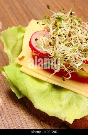 Frisch zubereitete vegetarische Sandwich mit Luzerne und Radieschen Sprossen, Konzept der gesunden Lebensweise Ernährung Lebensmittel und Ernährung Stockfoto