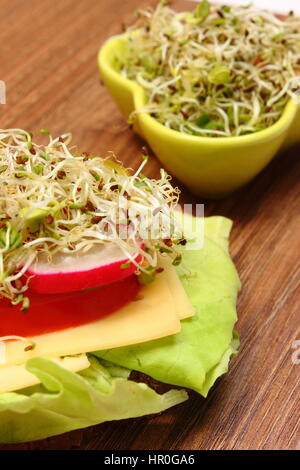 Frisch zubereitete vegetarische Sandwich und grüne Schale mit Luzerne und Radieschen Sprossen, Konzept der gesunden Lebensweise Ernährung Lebensmittel und Ernährung Stockfoto