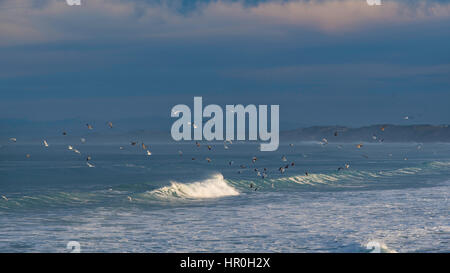 Surf Rollen an einem Strand in der Nähe von Monterey, Kalifornien, USA Stockfoto