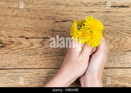 Zwei weibliche Hände halten einen kleinen Blumenstrauß gelbe Löwenzahn auf einem alten Holztisch Stockfoto