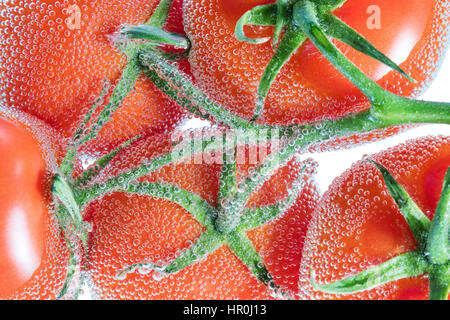 Zweig mit roten Tomaten Seifenblasen umhüllt die Hälfte fiel in Sodawasser isoliert auf weißem Hintergrund Stockfoto