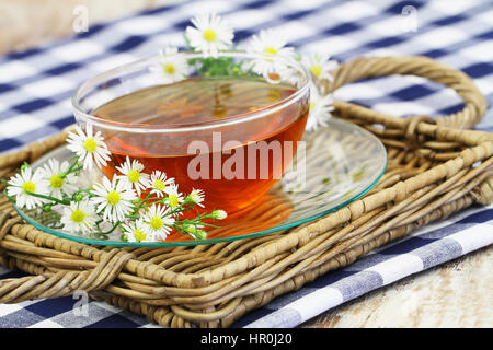 Kamillentee im transparenten Cup und frischen Kamillenblüten auf Korbwaren Tablett Stockfoto