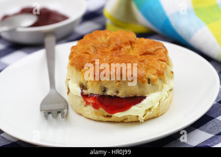 Englischen Scone mit traditionellen Clotted Cream und Erdbeermarmelade auf weißen Teller Stockfoto