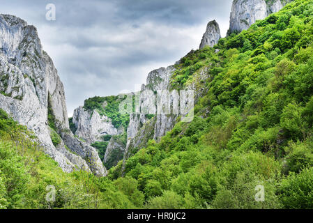 Monumentale Kalkstein Schlucht. Cheile Turzii, Rumänien Stockfoto