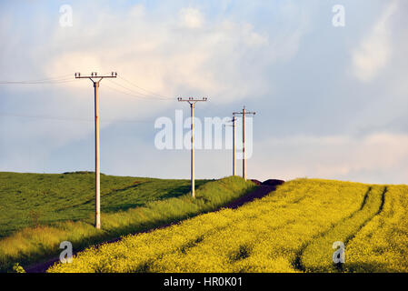 Strommasten in einem landwirtschaftlichen Bereich Stockfoto