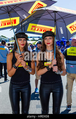 Melbourne, Australien. 26. Februar 2017.  Das Raster von Rennen 2 der SuperSport Weltmeisterschaft während 2017 MOTUL FIM Superbike-Weltmeisterschaft, Australien am 26. Februar 2017. Bildnachweis: Dave Hewison Sport/Alamy Live-Nachrichten Stockfoto