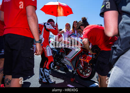 Melbourne, Australien. 26. Februar 2017.  In der Startaufstellung Rennen 2 der SuperSport-WM im Jahr 2017 MOTUL FIM Superbike-Weltmeisterschaft, Australien am 26. Februar 2017. Bildnachweis: Dave Hewison Sport/Alamy Live-Nachrichten Stockfoto