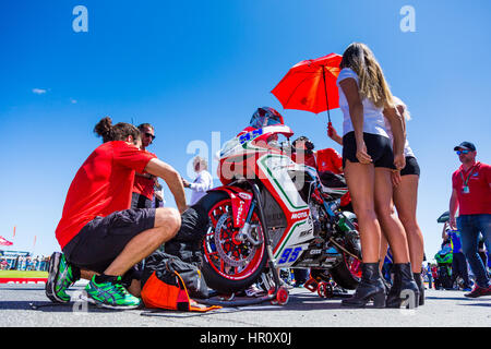 Melbourne, Australien. 26. Februar 2017.  In der Startaufstellung Rennen 2 der SuperSport-WM im Jahr 2017 MOTUL FIM Superbike-Weltmeisterschaft, Australien am 26. Februar 2017. Bildnachweis: Dave Hewison Sport/Alamy Live-Nachrichten Stockfoto