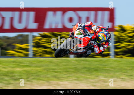 Melbourne, Australien. 26. Februar 2017. Chaz Davies #7 (GBR) während der 2017 MOTUL FIM Superbike Weltmeisterschaft, Australien am 26. Februar 2017. Bildnachweis: Dave Hewison Sport/Alamy Live-Nachrichten Stockfoto