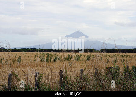 Mount Taranaki oder Mount Egmont, aktive Vulkan auf der Westküste von der Nordinsel, Neuseeland Stockfoto