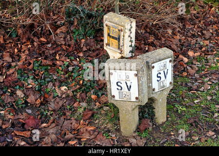 Konkrete britischen UK Stop Ventil und Hydranten Zeichen auf Blatt bedeckt Boden getragen Stockfoto