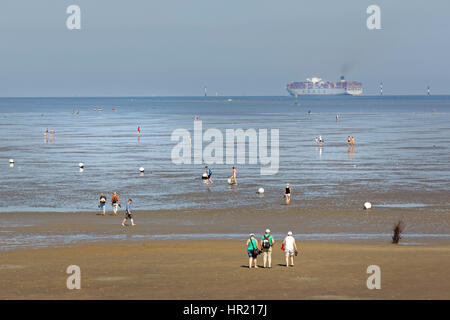 Containerschiff im Wattenmeer, Cuxhaven, Niedersachsen, Deutschland, Europa Stockfoto