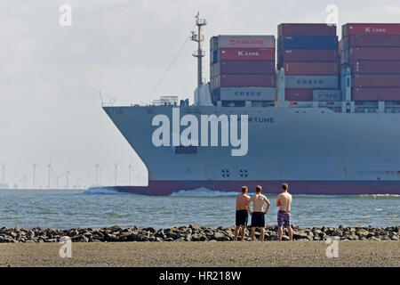 Containerschiff im Wattenmeer, Cuxhaven, Niedersachsen, Deutschland, Europa Stockfoto