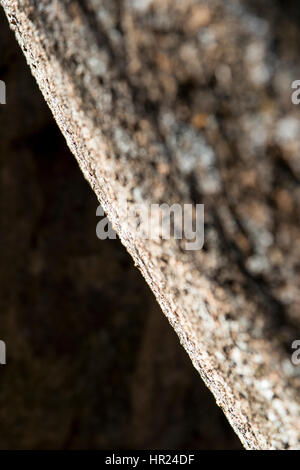 Nahaufnahme der Felswände bei Kletterern beliebt; Penitente Canyon; Colorado; USA Stockfoto