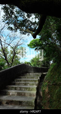 Eine Treppe Weg gehen nach oben, entlang der steinigen Hügel Wand bedeckt im Schatten der Bäume, Blätter und Zweige. Stockfoto