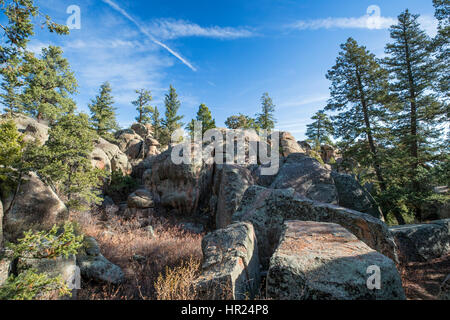 Pinon Kiefer & Fichten wachsen zwischen Felsen; Penitente Canyon; Colorado; USA Stockfoto