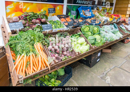 Eine attraktive Kollektion Winter Gemüse auf Verkauf im Ladengeschäft North Yorkshire-Obst-und Gemüsehändler Stockfoto