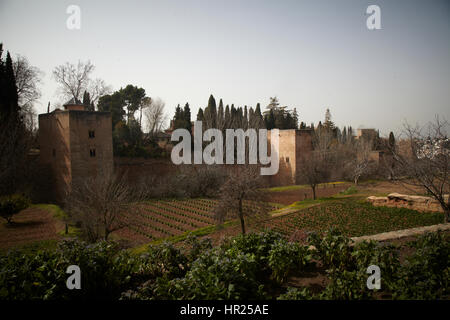 Die Burg von Al Hambra, Granada. Andalusien, Spanien Stockfoto