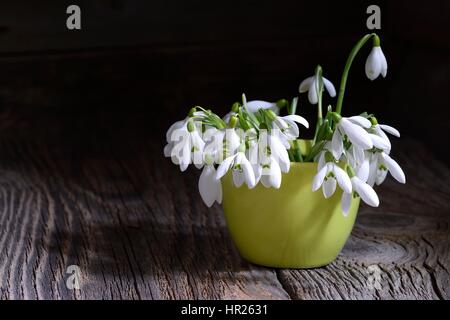 Bouquet von schönen Frühling erste Blumen Schneeglöckchen in Vase auf einem hölzernen Hintergrund Stockfoto