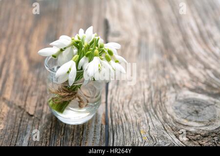 Bouquet von schönen Frühling erste Blumen Schneeglöckchen in Vase auf einem hölzernen Hintergrund Stockfoto