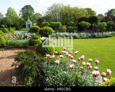 Sonnendurchflutetes Tulpen im Chenies Manor Garten mit weißen Pagode, Formschnitt und frischen grünen Rasen im Mai. Stockfoto