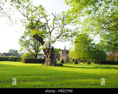 Queen Elizabeth Eiche, Chenies Manor Haus und Garten; Das Parterre im Frühjahr. Stockfoto