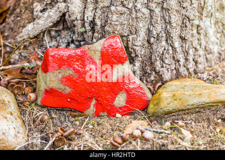 die Zahl 36 gemalt auf einem Felsen an einen Baum gelehnt Stockfoto