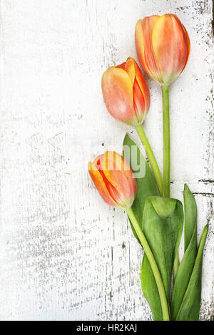 Drei schöne orange Tulpen über einen rustikalen Hintergrund mit Textfreiraum. Stockfoto