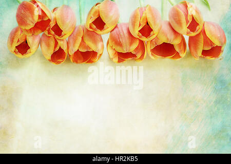 Reihe von schönen orange Tulpen über einen strukturierten Hintergrund mit Textfreiraum. Stockfoto