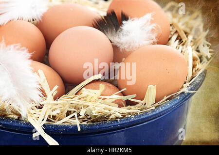 Frische Freilandeier in einem Nest aus Stroh. Stockfoto