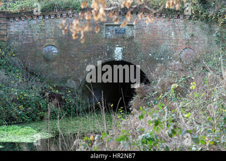 Der Greywell-Tunnel auf der Basingstoke Canal Stockfoto