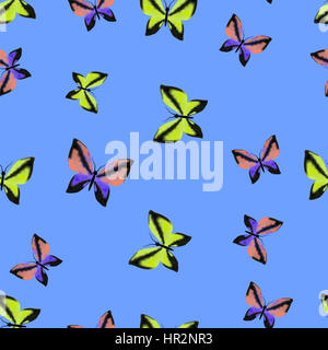 Bunte Schmetterlinge Musterdesign Sommer Stockfoto
